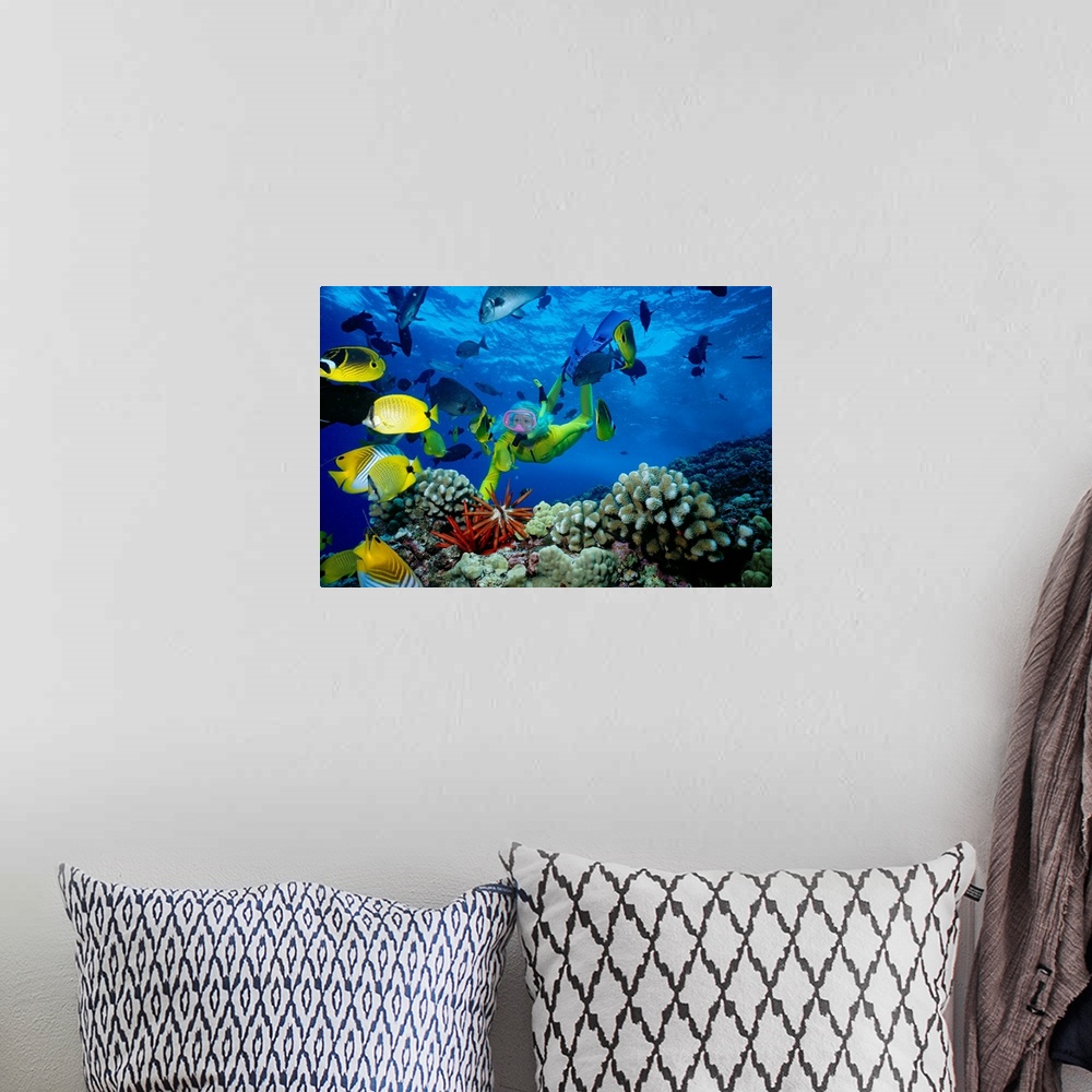 A bohemian room featuring Hawaii, Maui, Molokini Crater, Woman In Yellow Dive Suit Snorkels Over Reef
