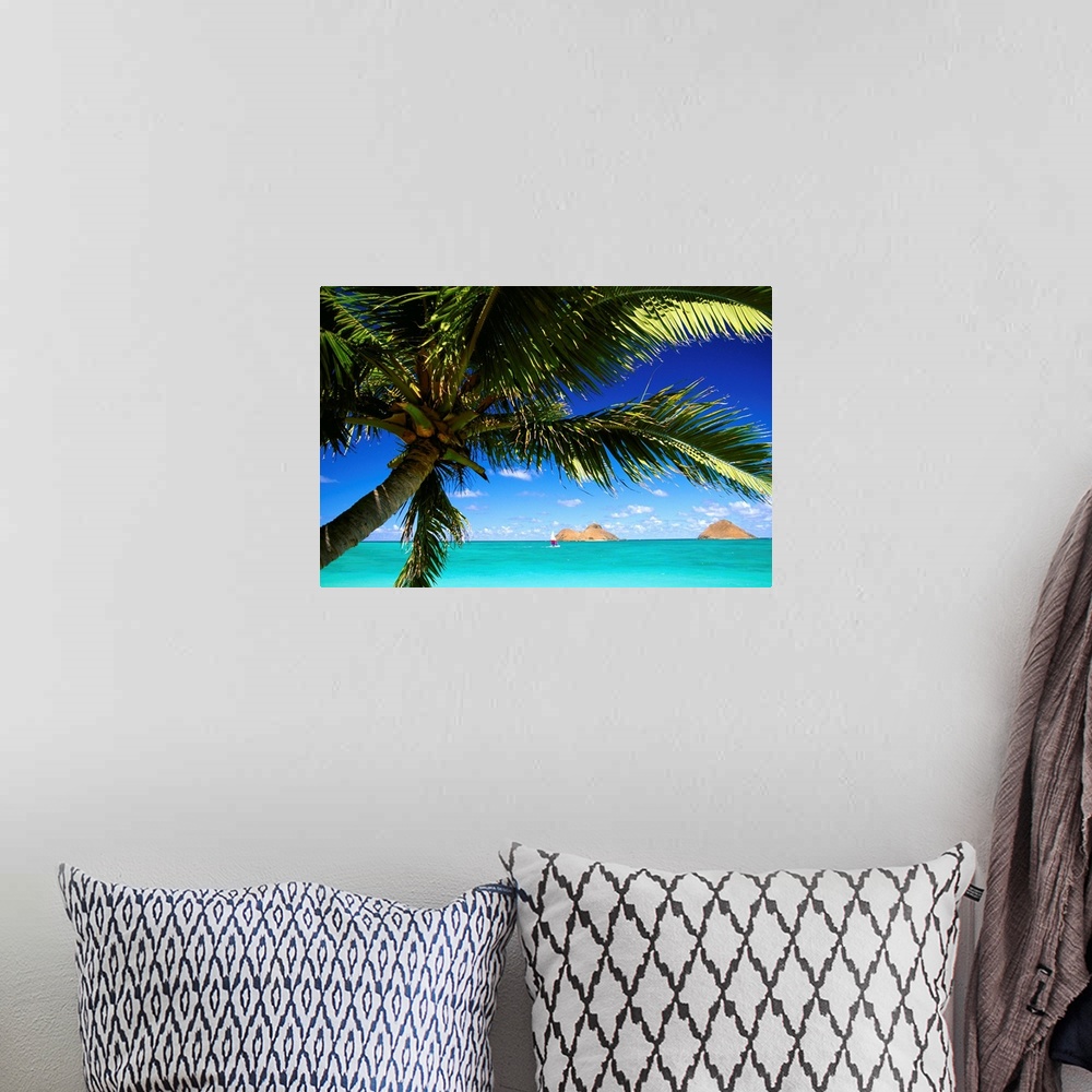 A bohemian room featuring Hawaii, Oahu, Lanikai, Palm Tree Foreground