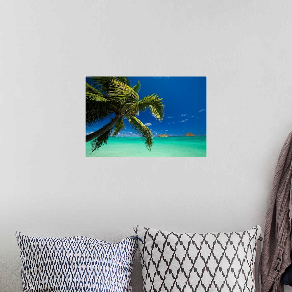 A bohemian room featuring Hawaii, Oahu, Lanikai, Palm Tree Over Turquoise Ocean, Na Mokulua In The Distance