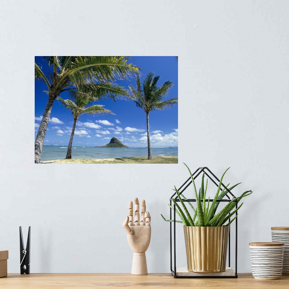 A bohemian room featuring Hawaii, Oahu, Mokoli'i Island And Palm Trees