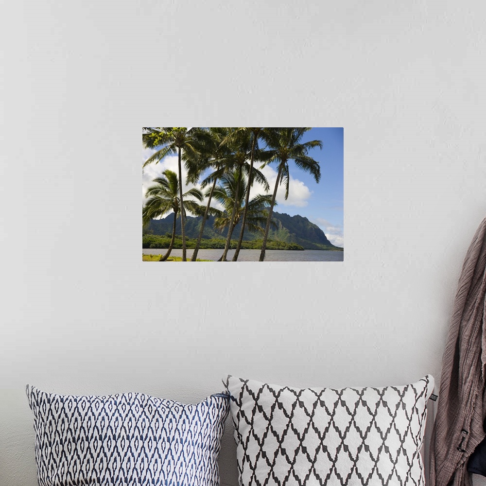 A bohemian room featuring Hawaii, Oahu, Windward, Waikane Beach Park, Kualoa In Background