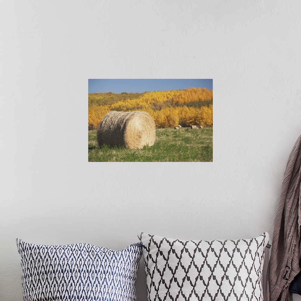 A bohemian room featuring Hay Bale With Autumn Colors, Alberta, Canada