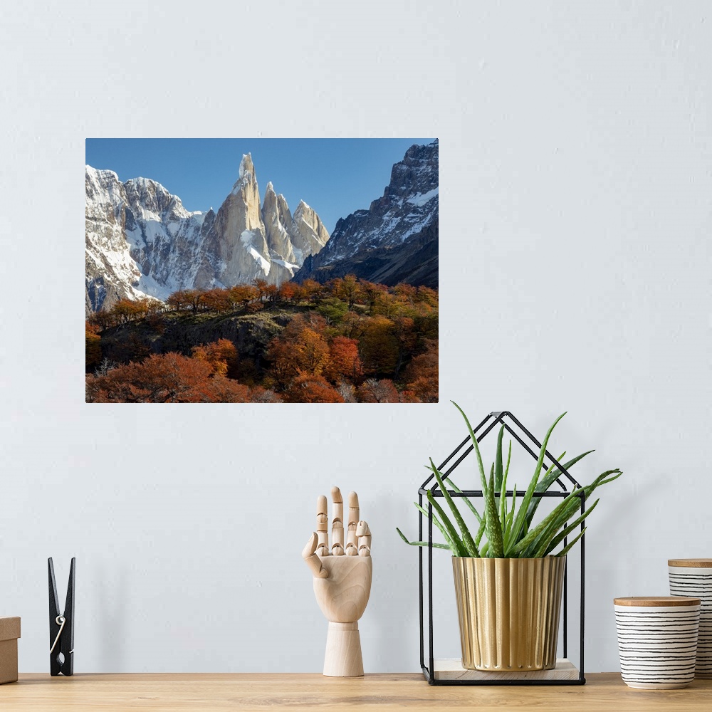 A bohemian room featuring Views along the day hike to Laguna Torre peak with fall color of southern beech, or Nothofagus tr...