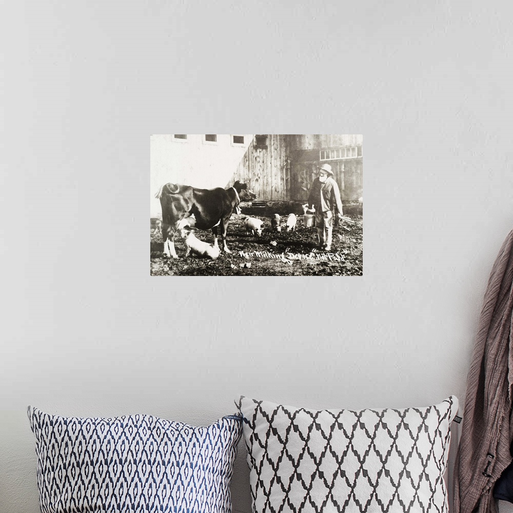 A bohemian room featuring Historic photograph of piglet nursing from cow from 19th century