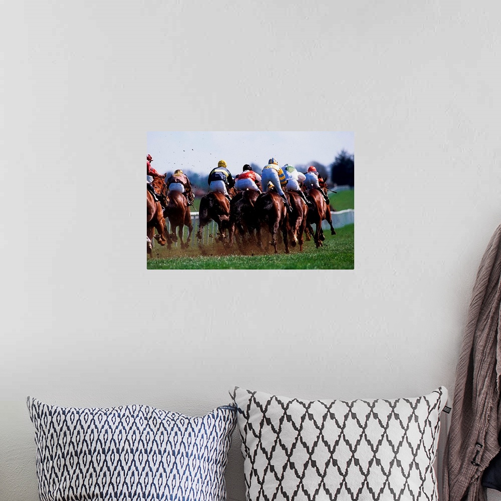 A bohemian room featuring Horse Racing, Rear View Of Horses Racing