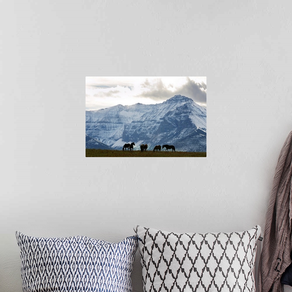 A bohemian room featuring Horses And Mountains, Southern Alberta, Canada