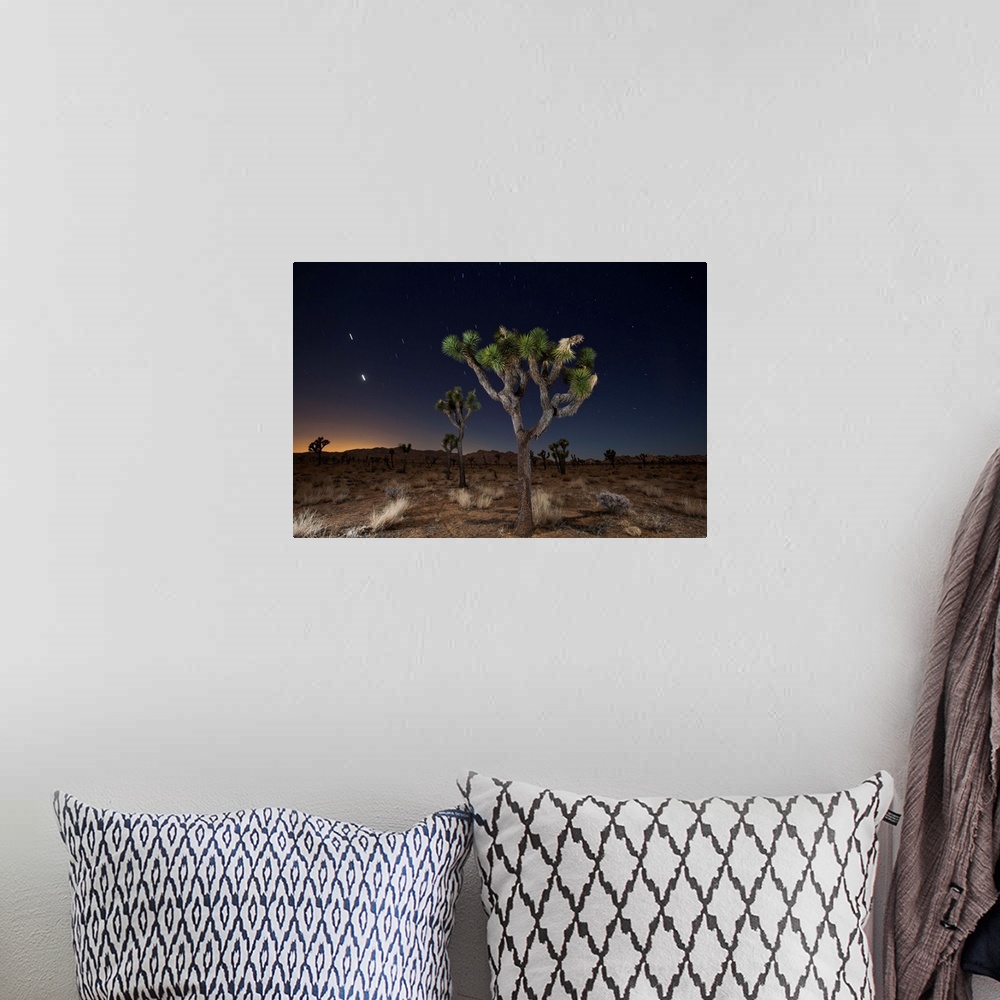 A bohemian room featuring Stars over Joshua Trees in the desert.