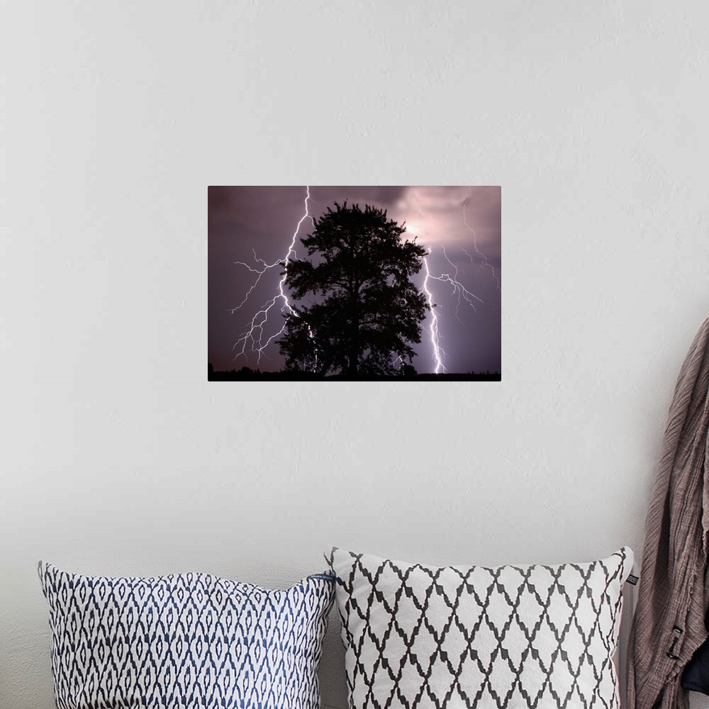 A bohemian room featuring Lightning Strikes In The Sky Behind A Tree; Alberta, Canada