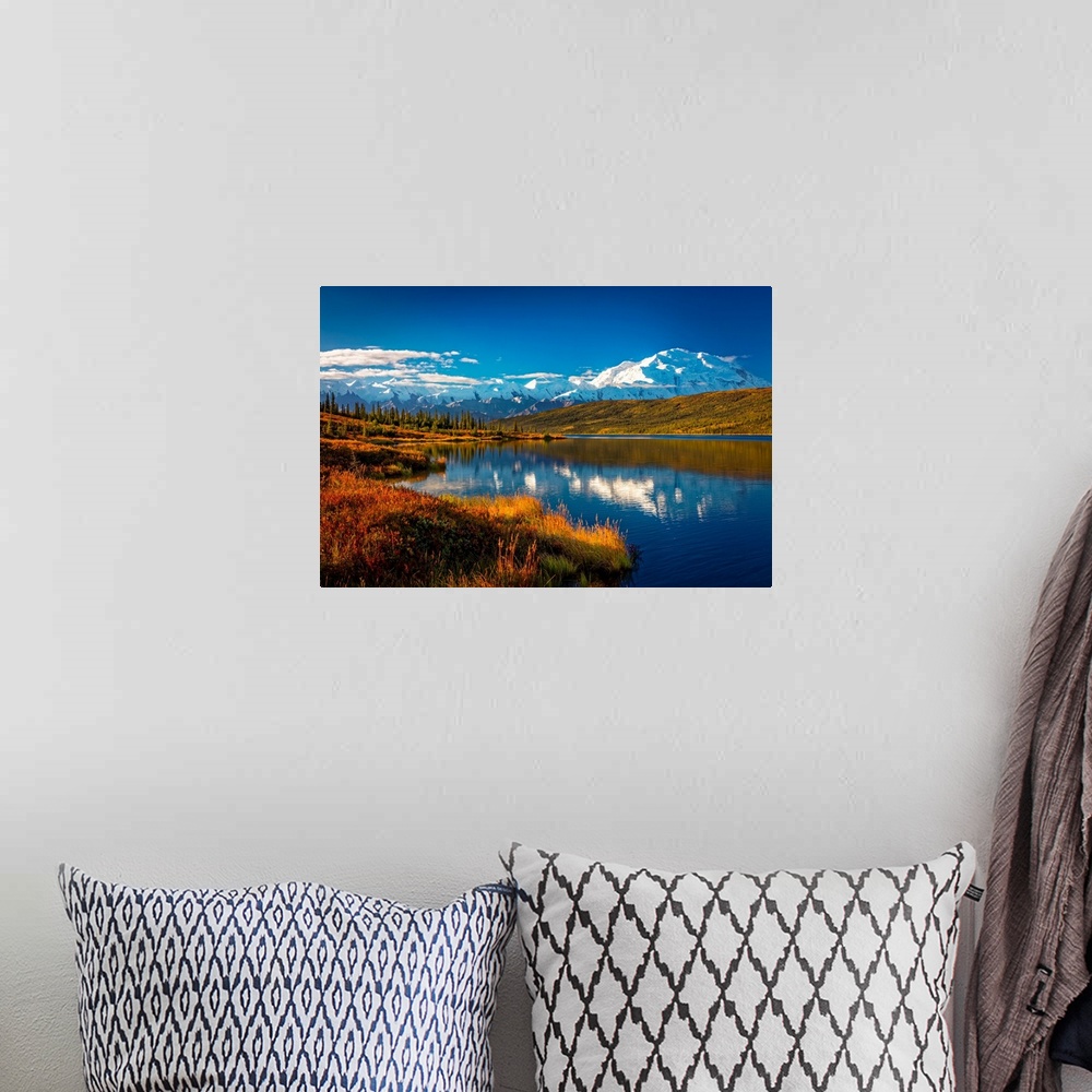 A bohemian room featuring Mount Denali (McKinley) reflects on Wonder Lake under a blue sky in autumn, Denali National Park ...