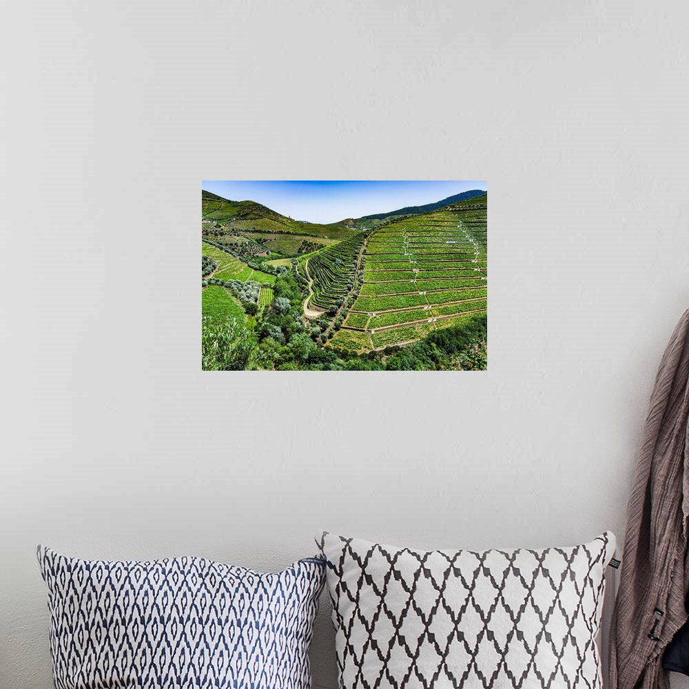 A bohemian room featuring Overview of the terraced vineyards in the Douro River Valley, Norte, Portugal