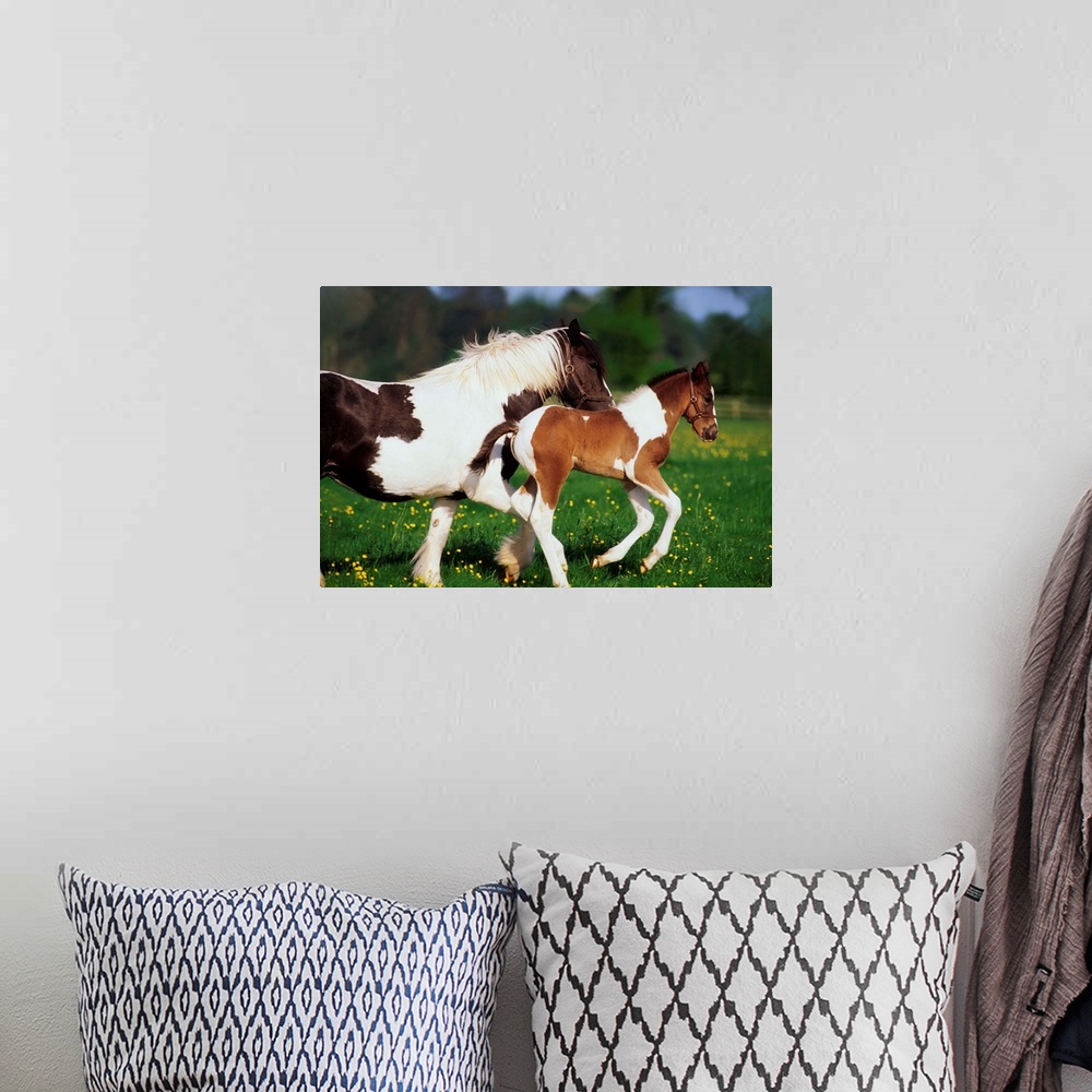 A bohemian room featuring Piebald Mare And Foal