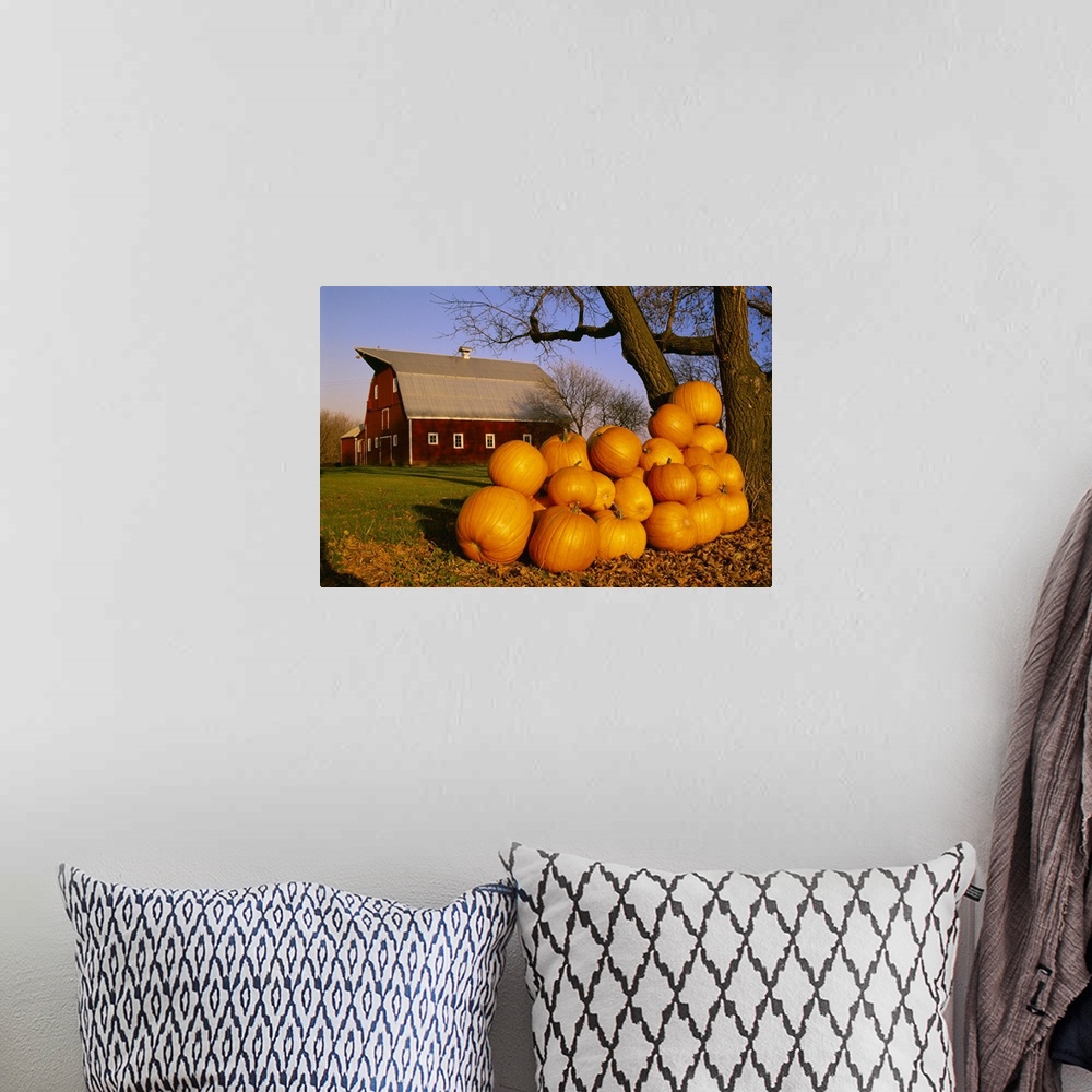 A bohemian room featuring Pumpkins piled up after the Autumn harvest near a red barn, near Oakbank, Manitoba
