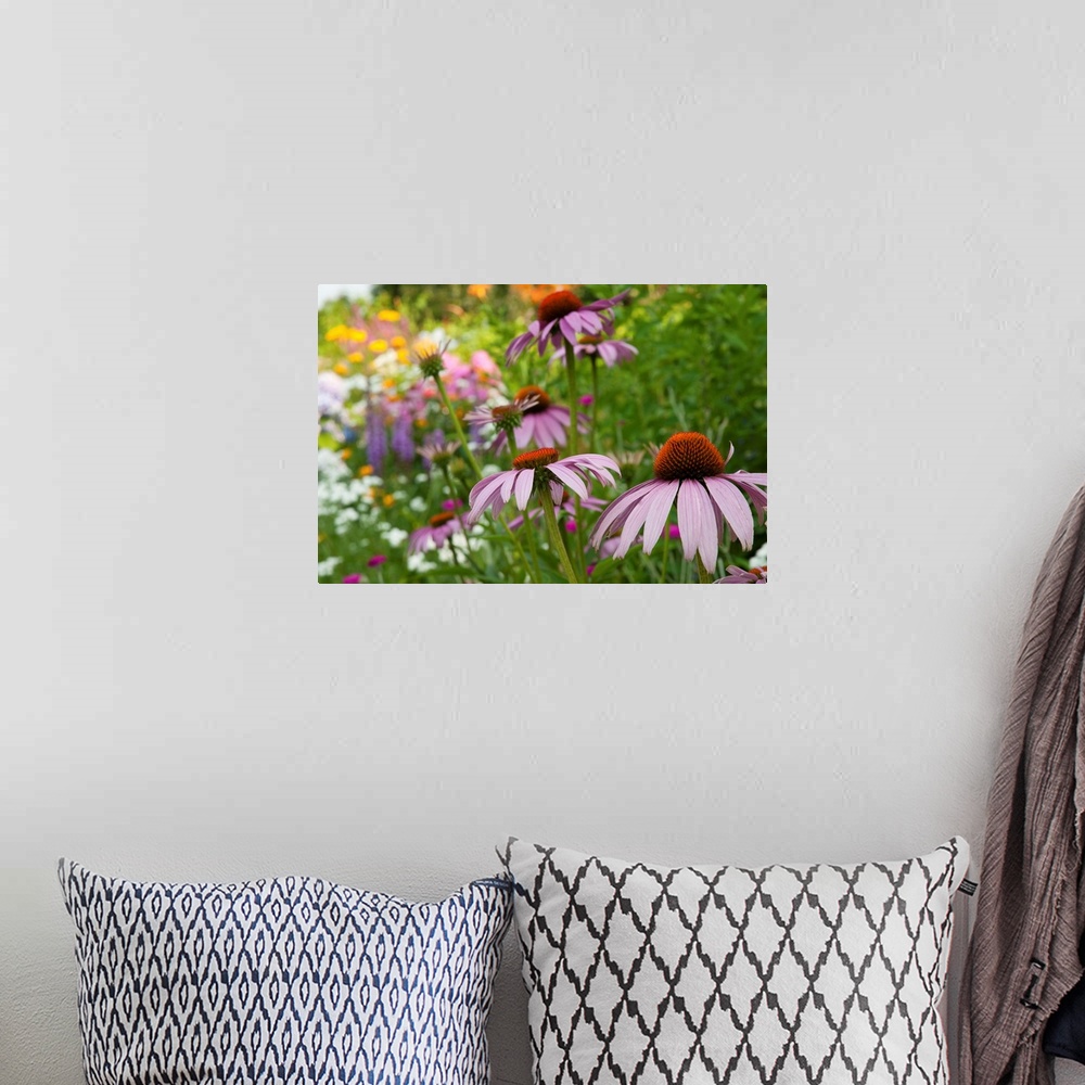 A bohemian room featuring Purple coneflower and other flowers in a Cape Cod garden.