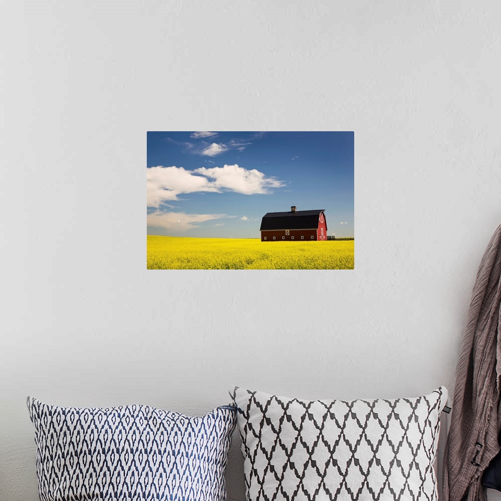 A bohemian room featuring Red Barn In A Flowering Canola Field, Alberta, Canada