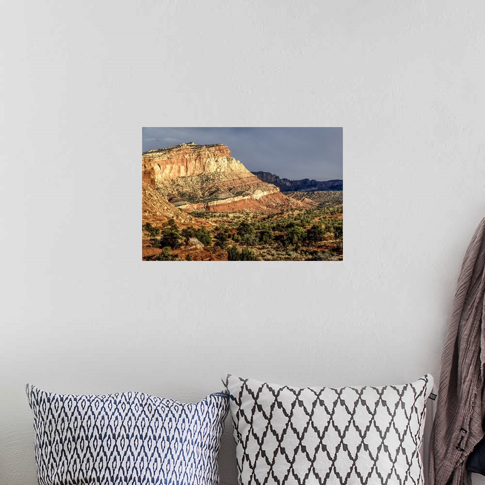 A bohemian room featuring Sandstone rock formations along the valley covered in juniper trees (Juniper scopulorum) in Capit...