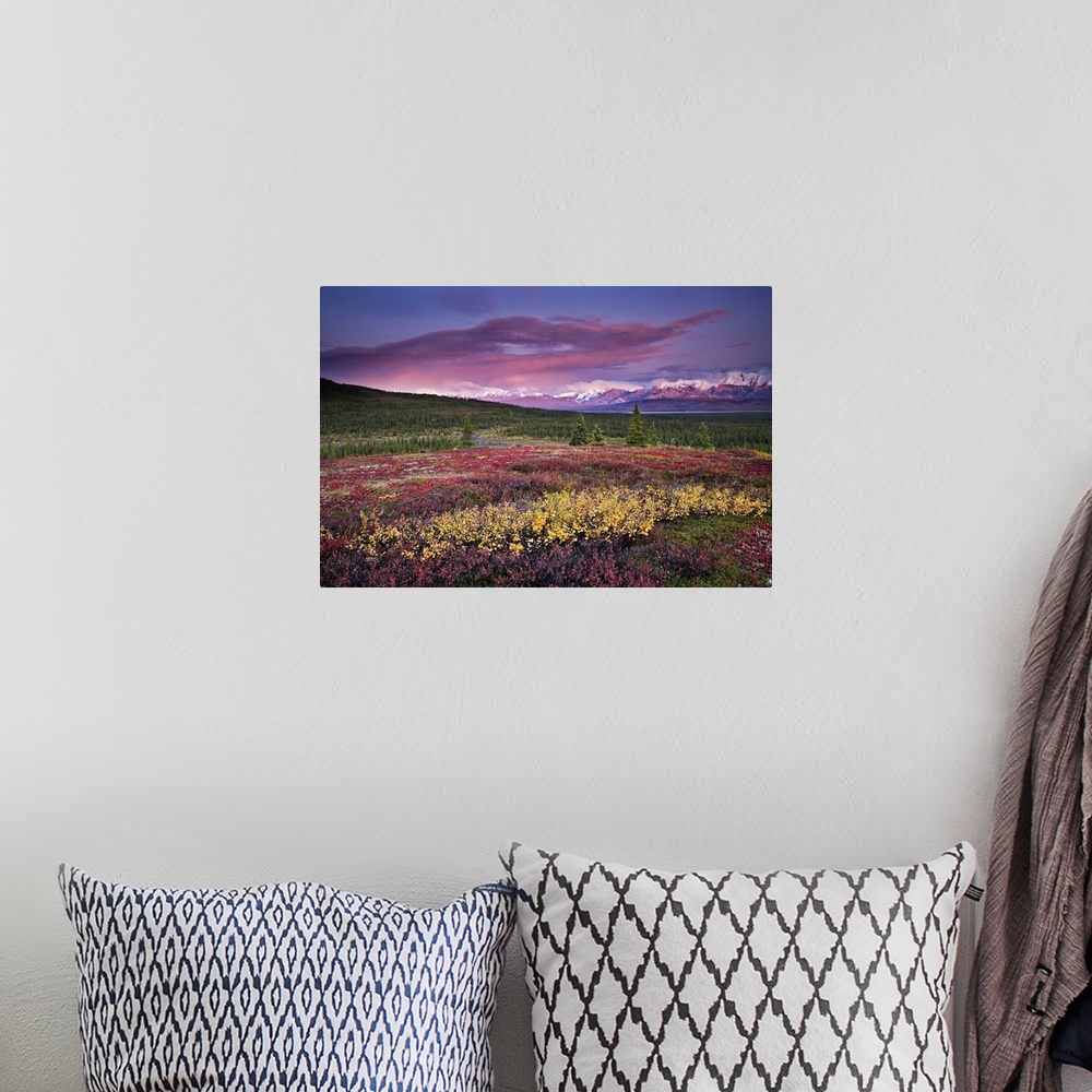 A bohemian room featuring Scenic View Of Alpine Tundra With Alaska Range In The Background With Alpenglow At Sunset In Dena...