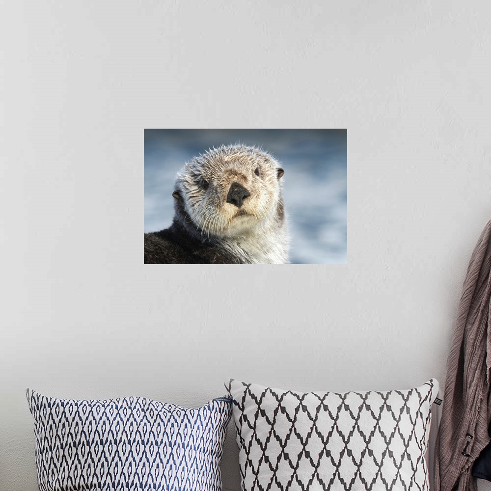 A bohemian room featuring Sea Otter in Whittier, Alaska
