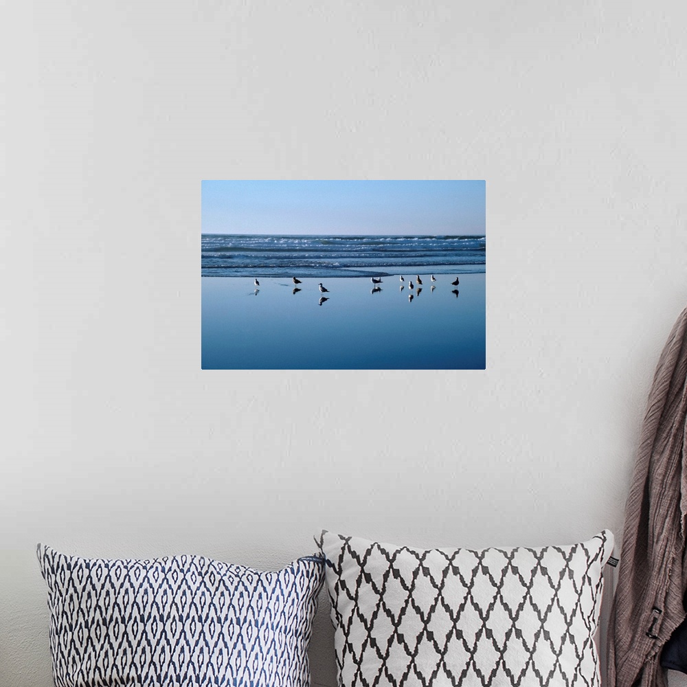 A bohemian room featuring Seagulls Standing On The Shore As The Waves Roll In