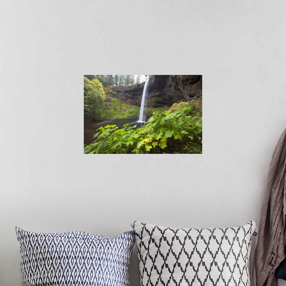 A bohemian room featuring South Silver Falls, Silver Falls State Park, Oregon