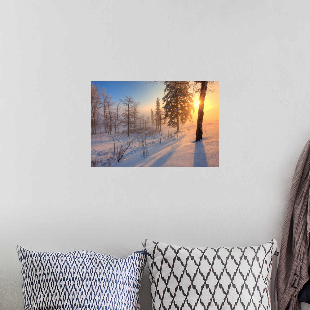 A bohemian room featuring Sun Rising Behind Trees On Snowy Cattle Pasture In Winter, Central Alberta, Canada
