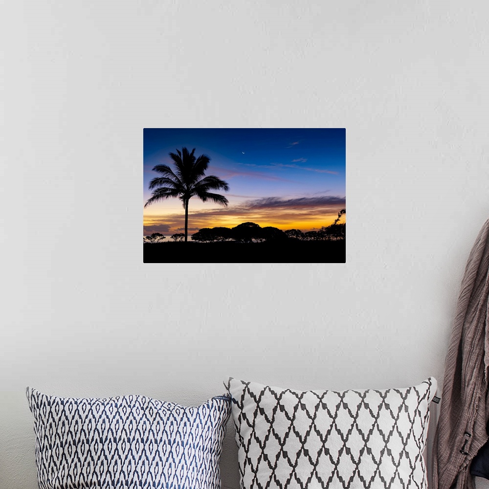 A bohemian room featuring Sunrise and silhouetted palm tree along the Pacific Ocean; Kauai, Hawaii, United States of America