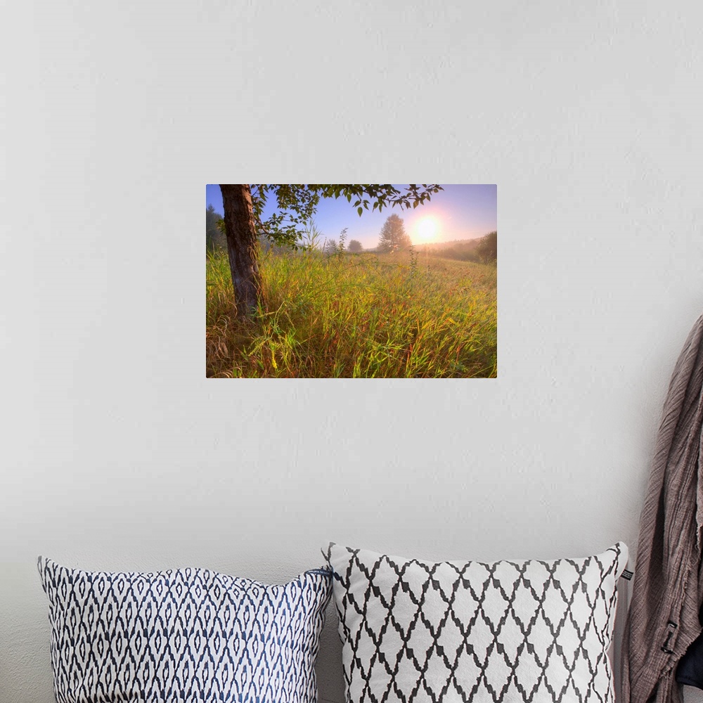 A bohemian room featuring Sunrise On A Dew Covered Grassy Hill, North Of Edmonton, Alberta, Canada