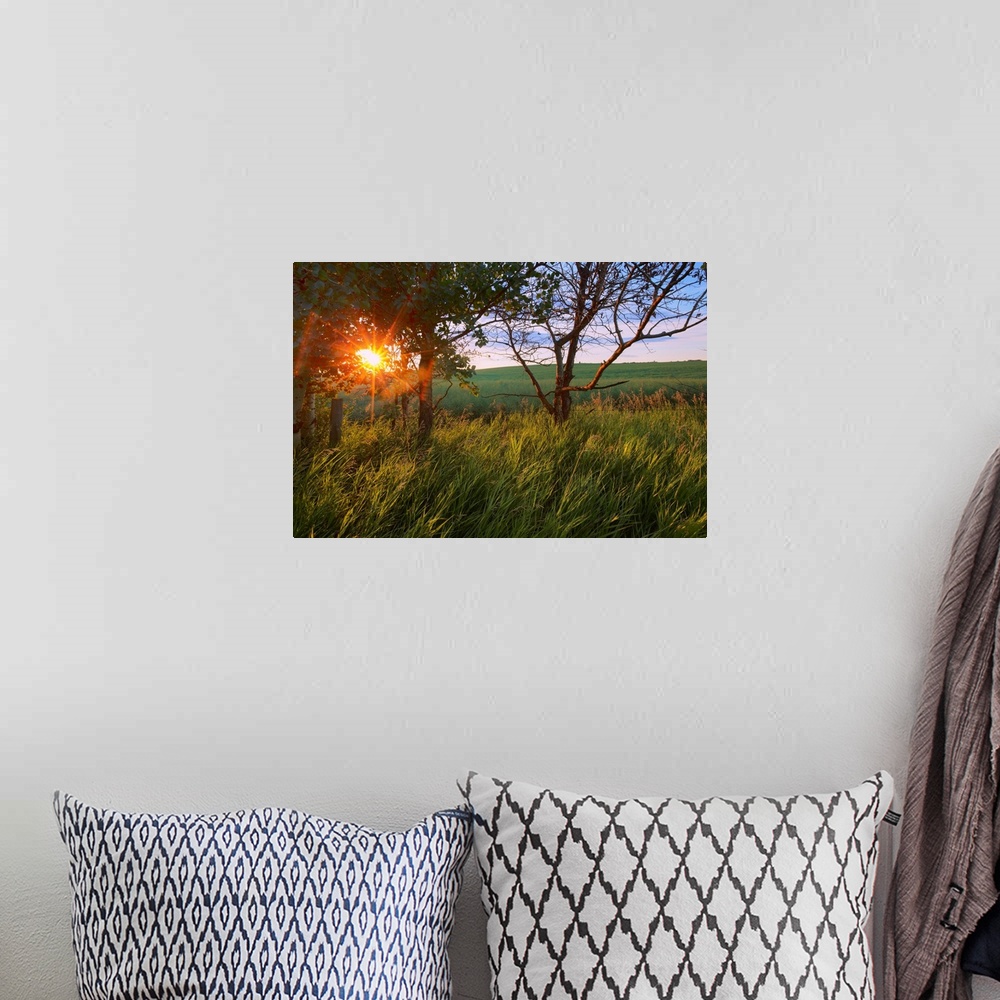 A bohemian room featuring Sunrise On A Farm During The Summer In Central Alberta, Canada
