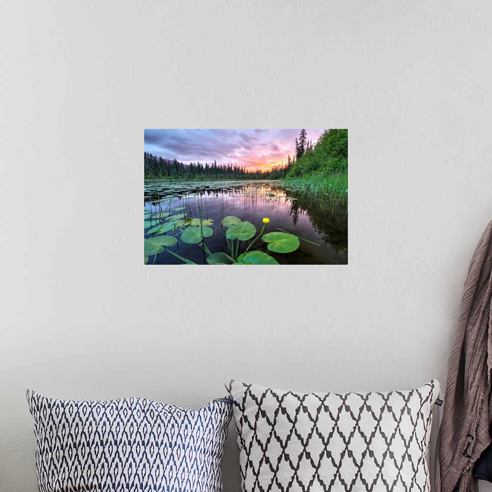 A bohemian room featuring Sunset over an unnamed lake with water lilies along the Yellowhead Highway, Canada