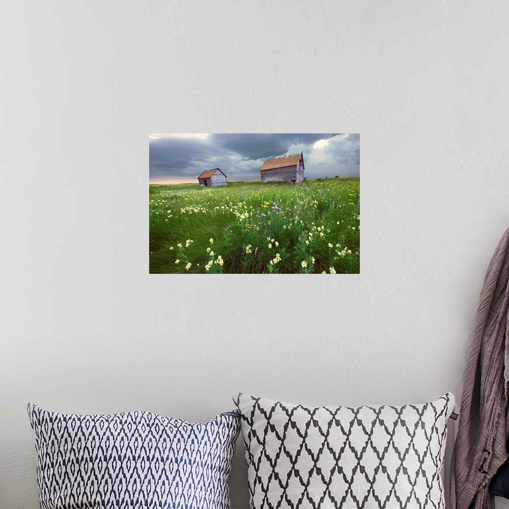 A bohemian room featuring Two Old Granaries With Prairie Wildflowers, Central Alberta, Canada
