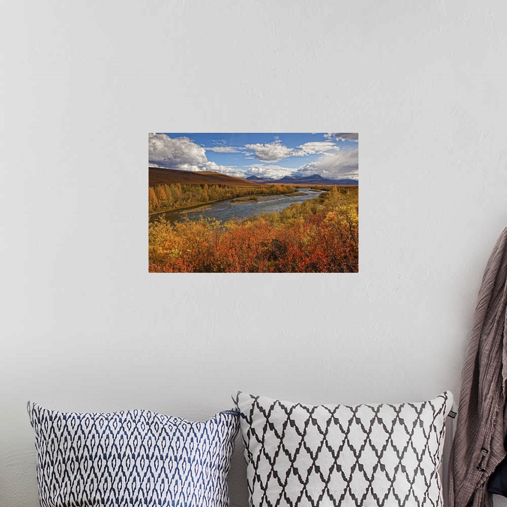 A bohemian room featuring Upper Blackstone River Flowing North Along The Demspter Highway In Autumn, Yukon Canada