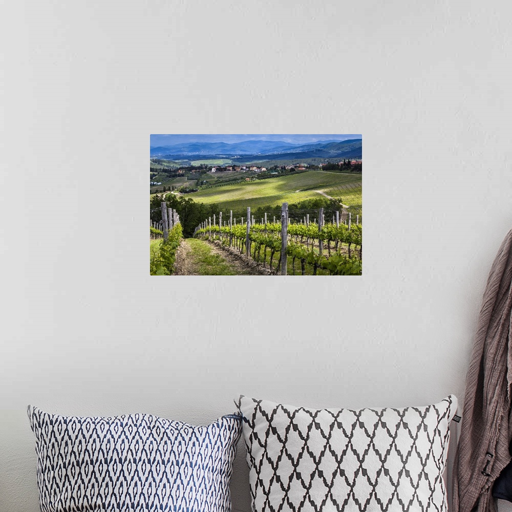 A bohemian room featuring Vineyard, Chianti, Tuscany, Italy