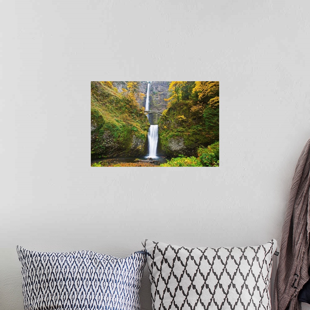 A bohemian room featuring Waterfalls Falling Into A Pool Of Water In A Forested Area