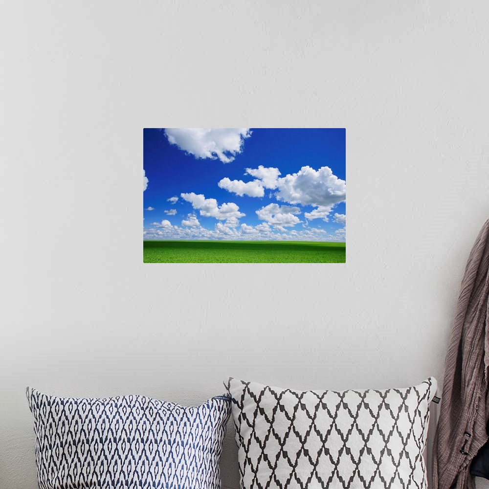 A bohemian room featuring White Clouds In The Sky And Green Meadow
