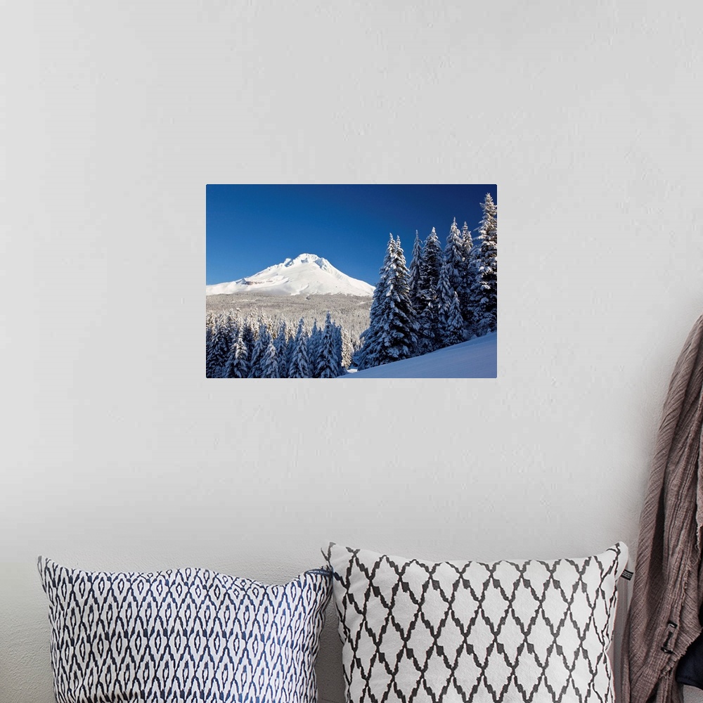 A bohemian room featuring Winter Snow Over The Cascade Range; Mount Hood, Oregon, USA