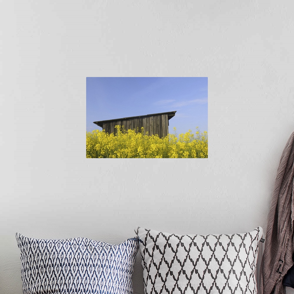 A bohemian room featuring Wooden Hut in Canola Field, Roellbach, Bavaria, Germany
