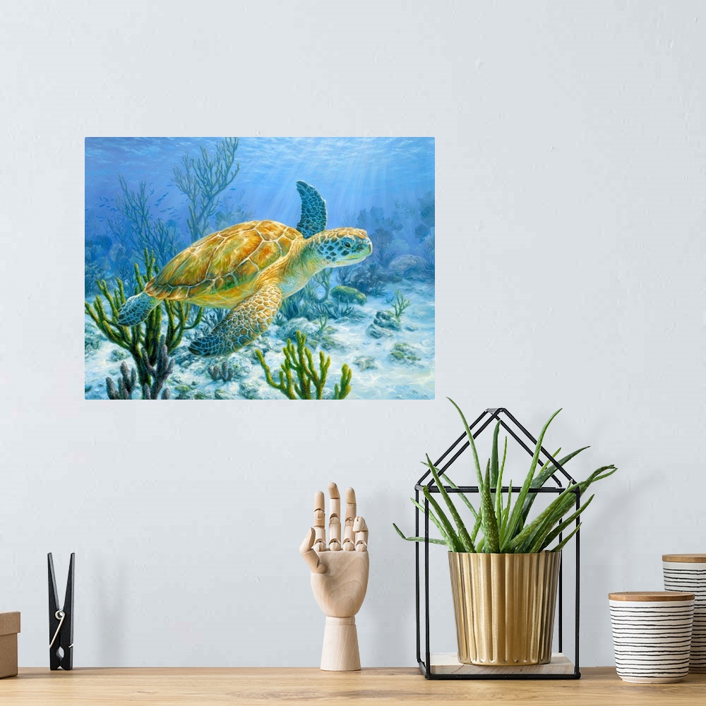 A bohemian room featuring Ancient Mariner - Green Sea Turtle