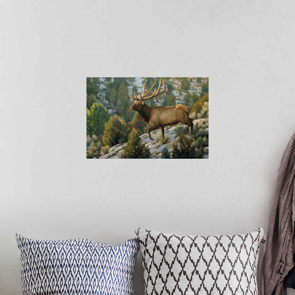 A bohemian room featuring Brush Country Elk