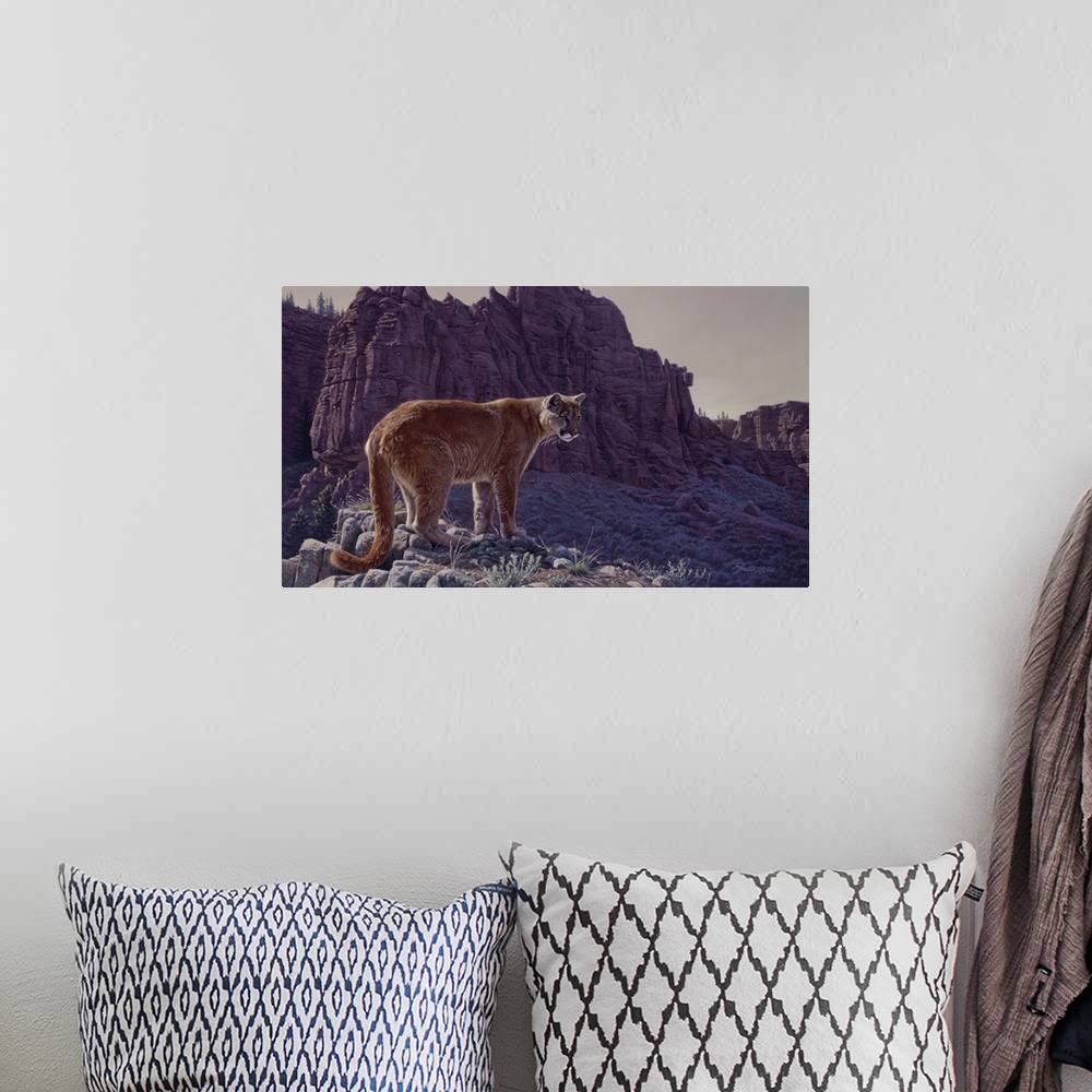 A bohemian room featuring Mountain Cougar