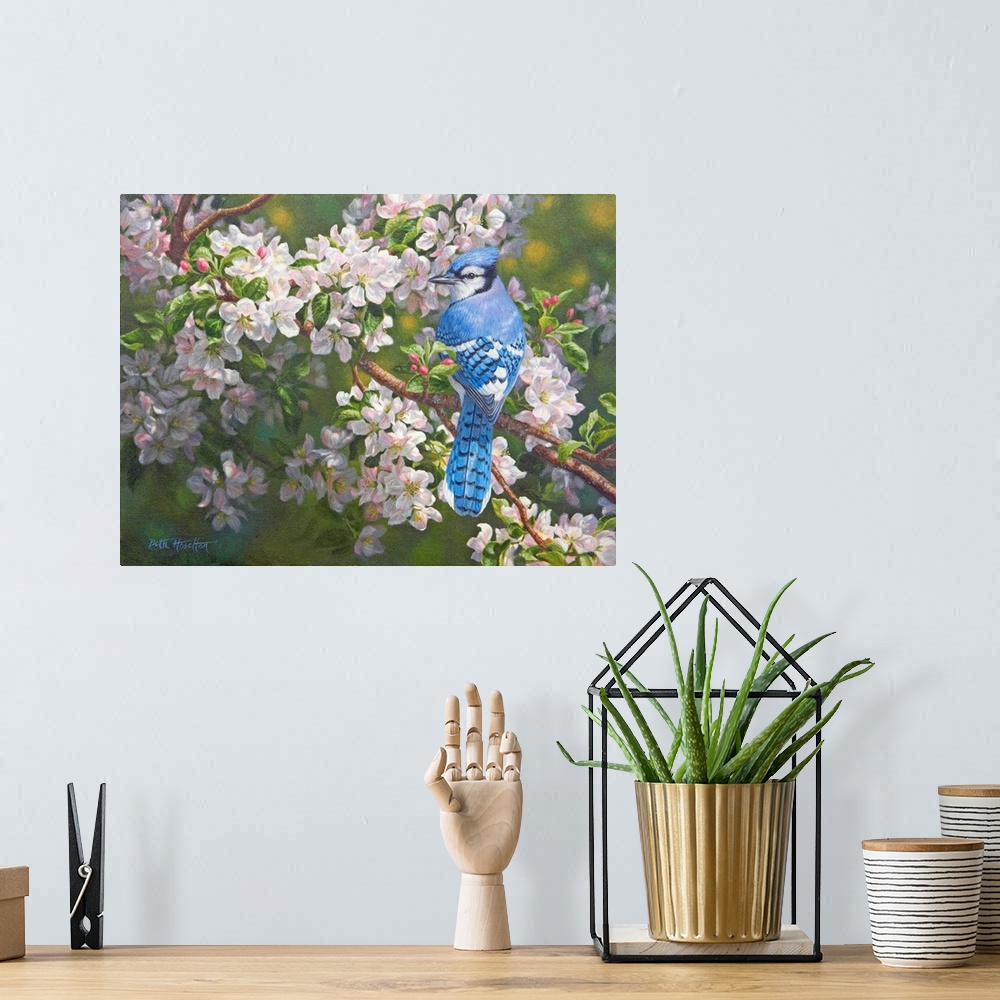 A bohemian room featuring Orchard Light - Blue Jay In Apple Blossoms