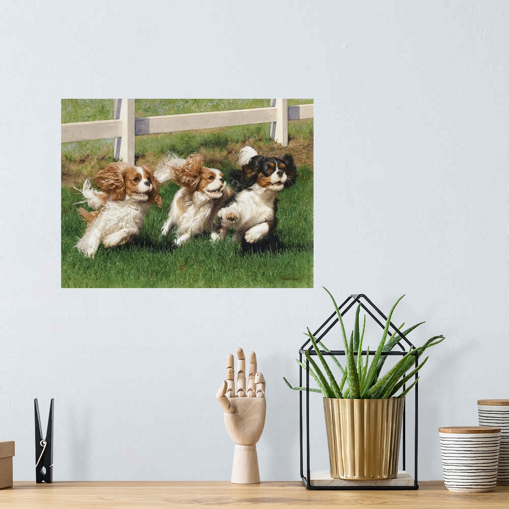 A bohemian room featuring A charming image of three cocker spaniels running together in a field.