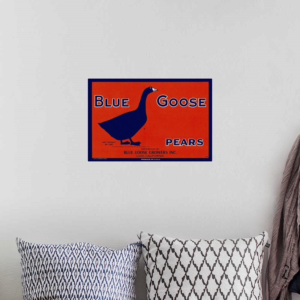 A bohemian room featuring Blue Goose Pears