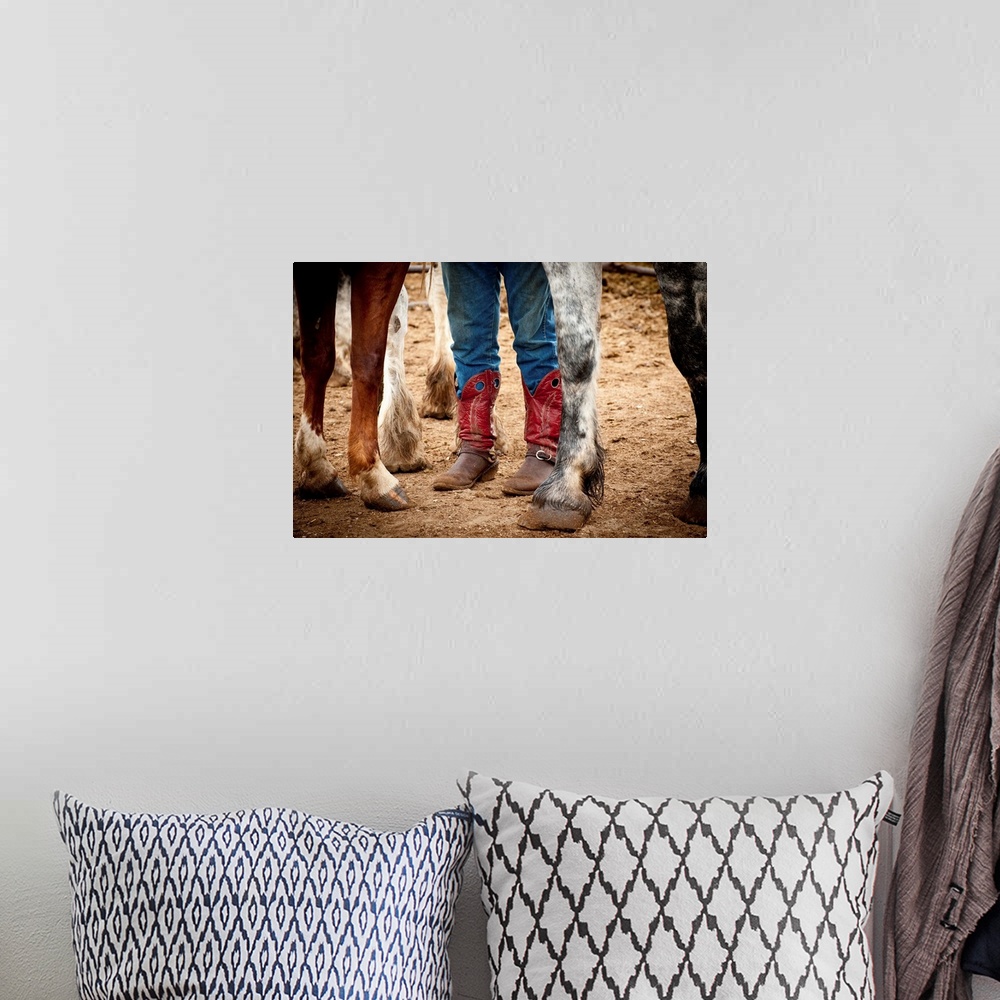 A bohemian room featuring Photograph of red cowboy boots and horse hooves.