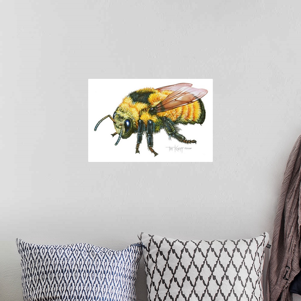 A bohemian room featuring Bumble Bee