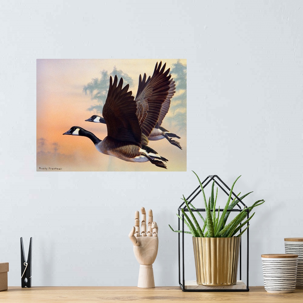A bohemian room featuring Two canada geese flying at sunset, or sunrise.