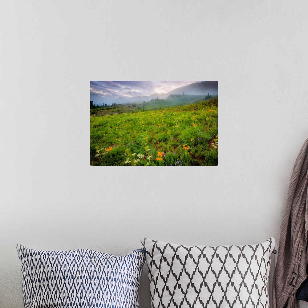 A bohemian room featuring Flowers in a Colorado field, color photograph