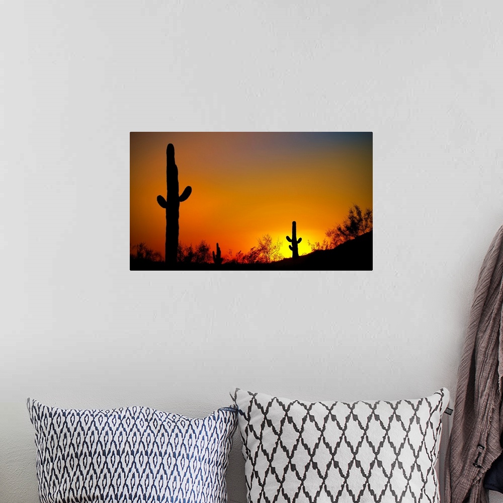 A bohemian room featuring Desert Sunset