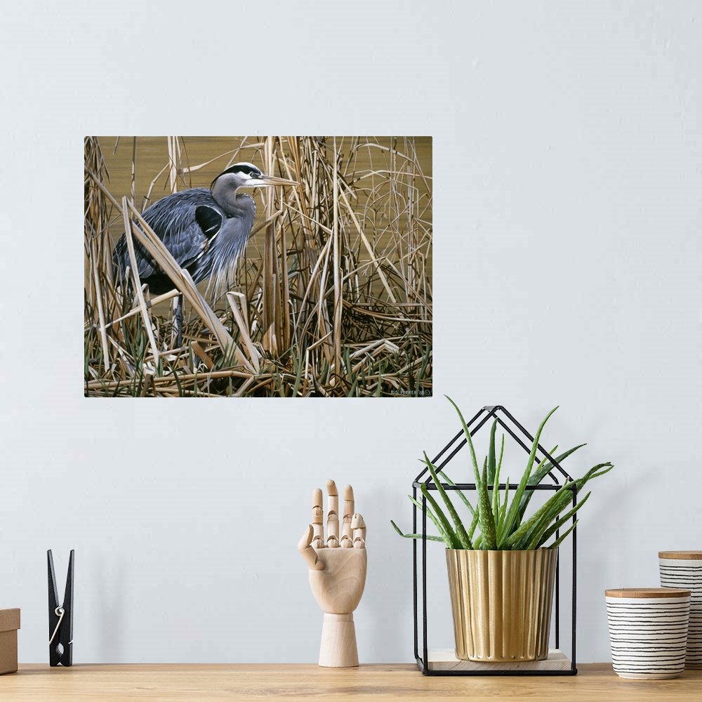 A bohemian room featuring A blue heron stands in a group of tall grass and reeds at the edge of a swamp.