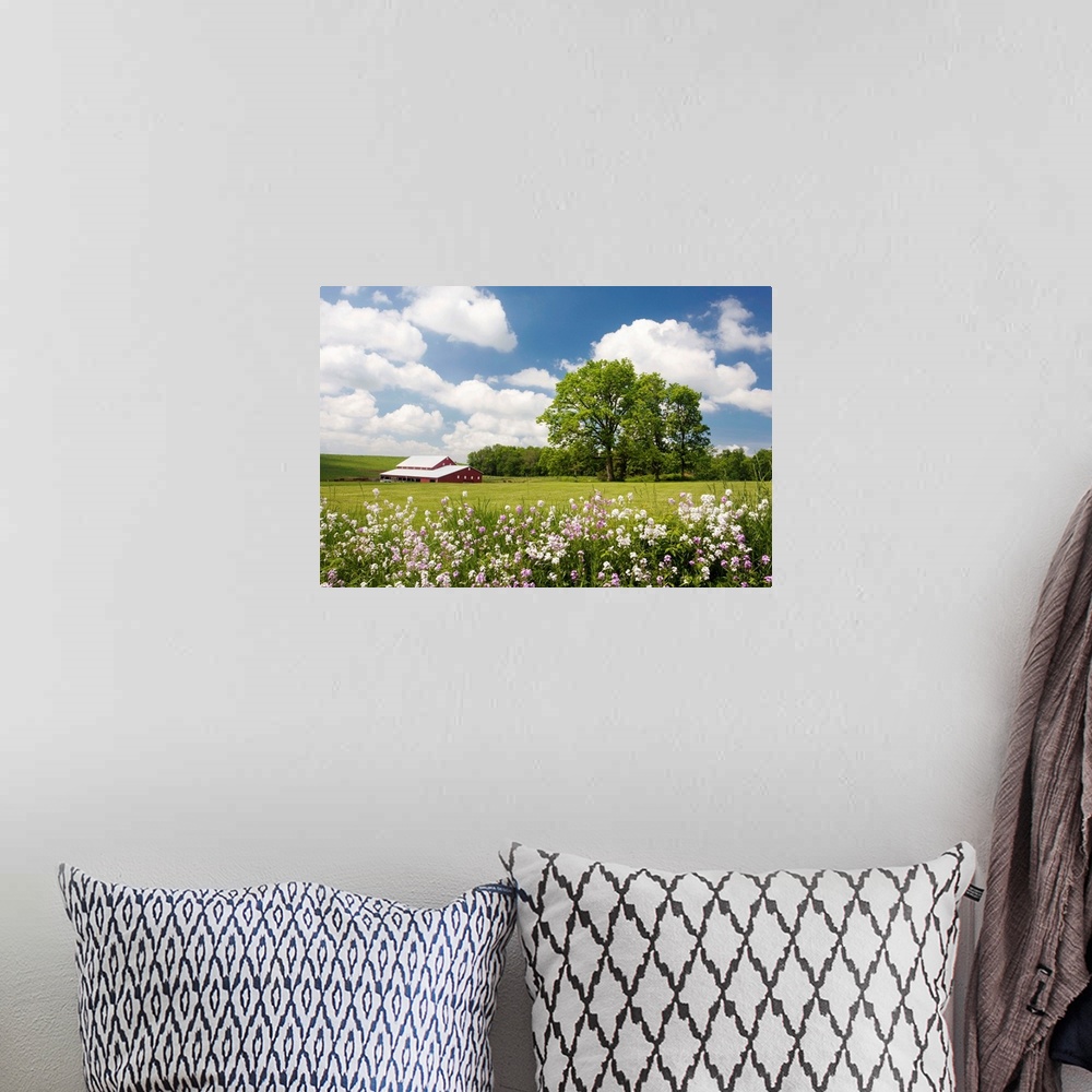 A bohemian room featuring Photograph of a rural field filled with wildflowers.
