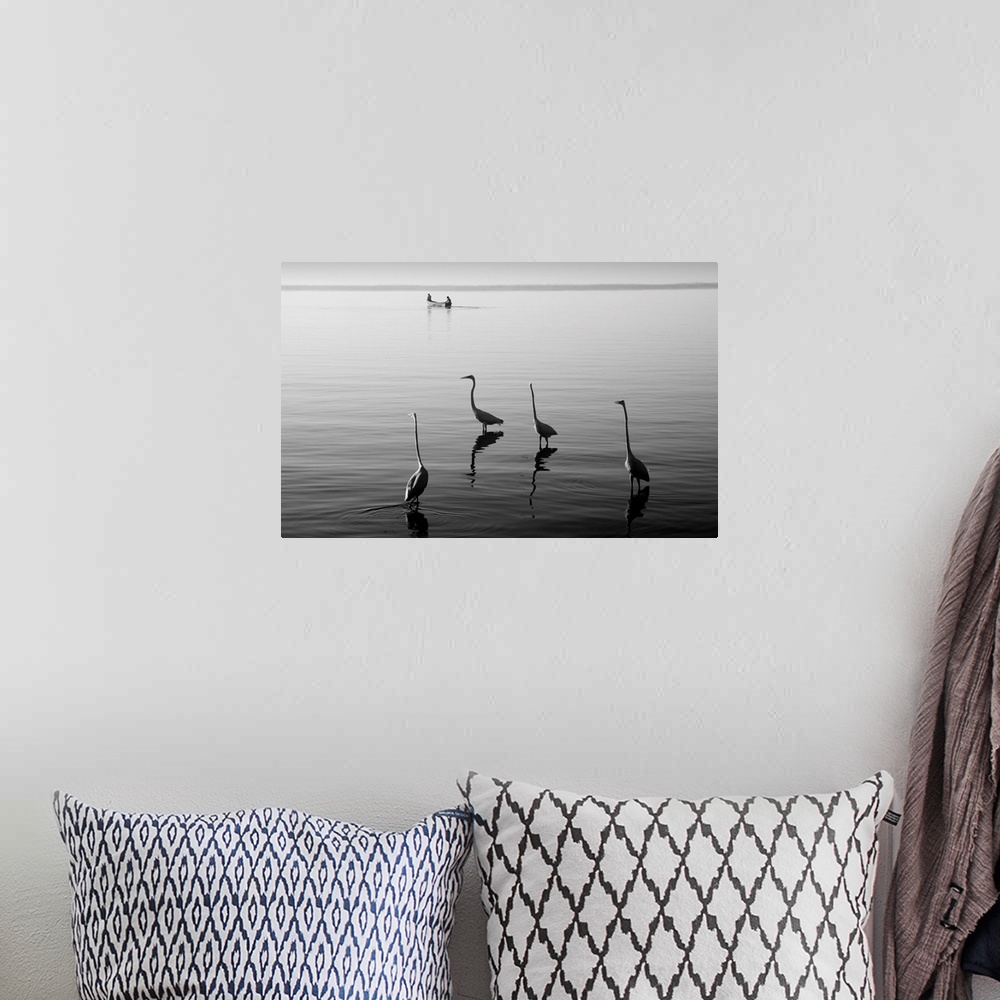 A bohemian room featuring water, heron, black and white photography