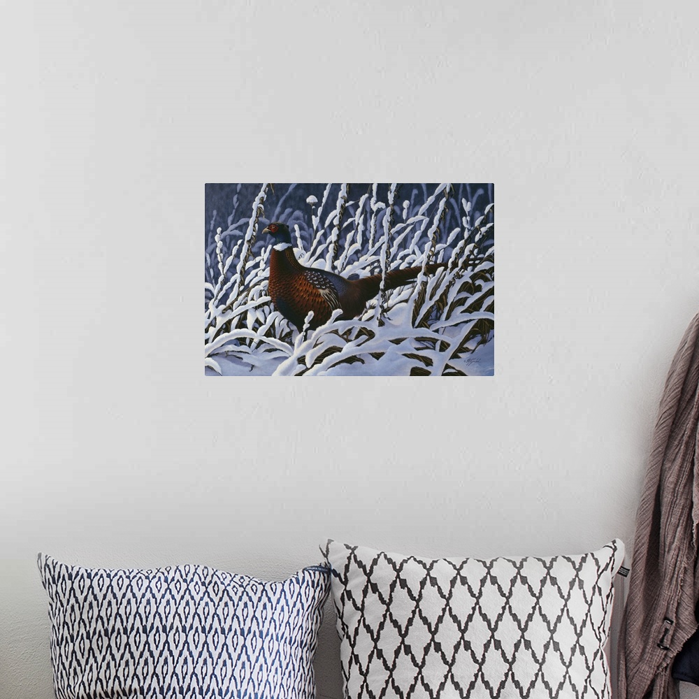 A bohemian room featuring A pheasant walking through a snow covered grassy field.